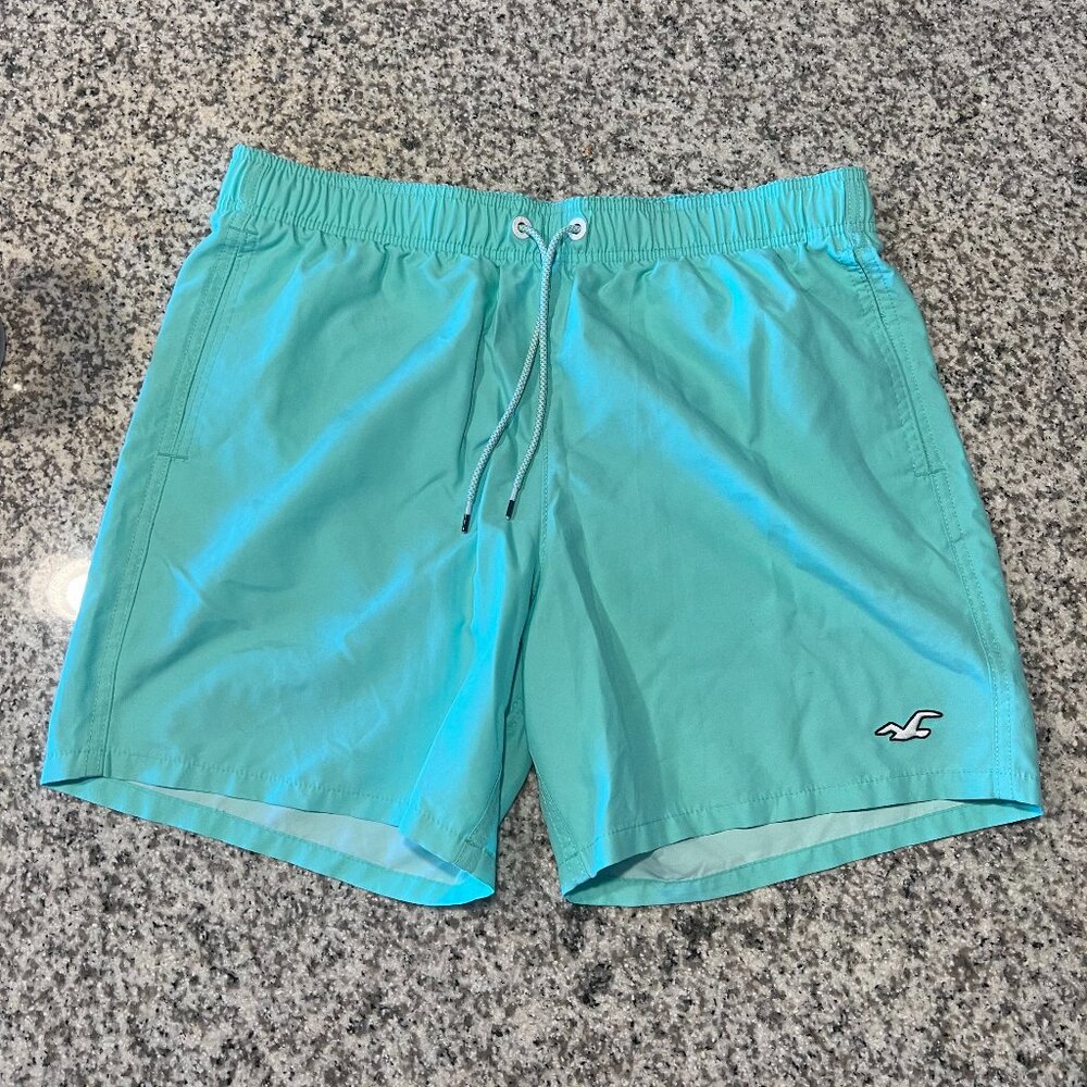 Hollister Men's Large Mint Swim Trunks